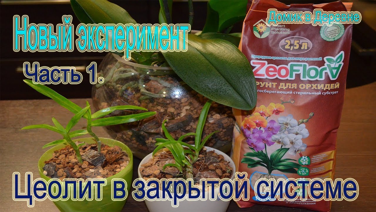 Цеолит ! Посадка орхидей в закрытую систему ! Новый экспериментальный вариант  Часть 1