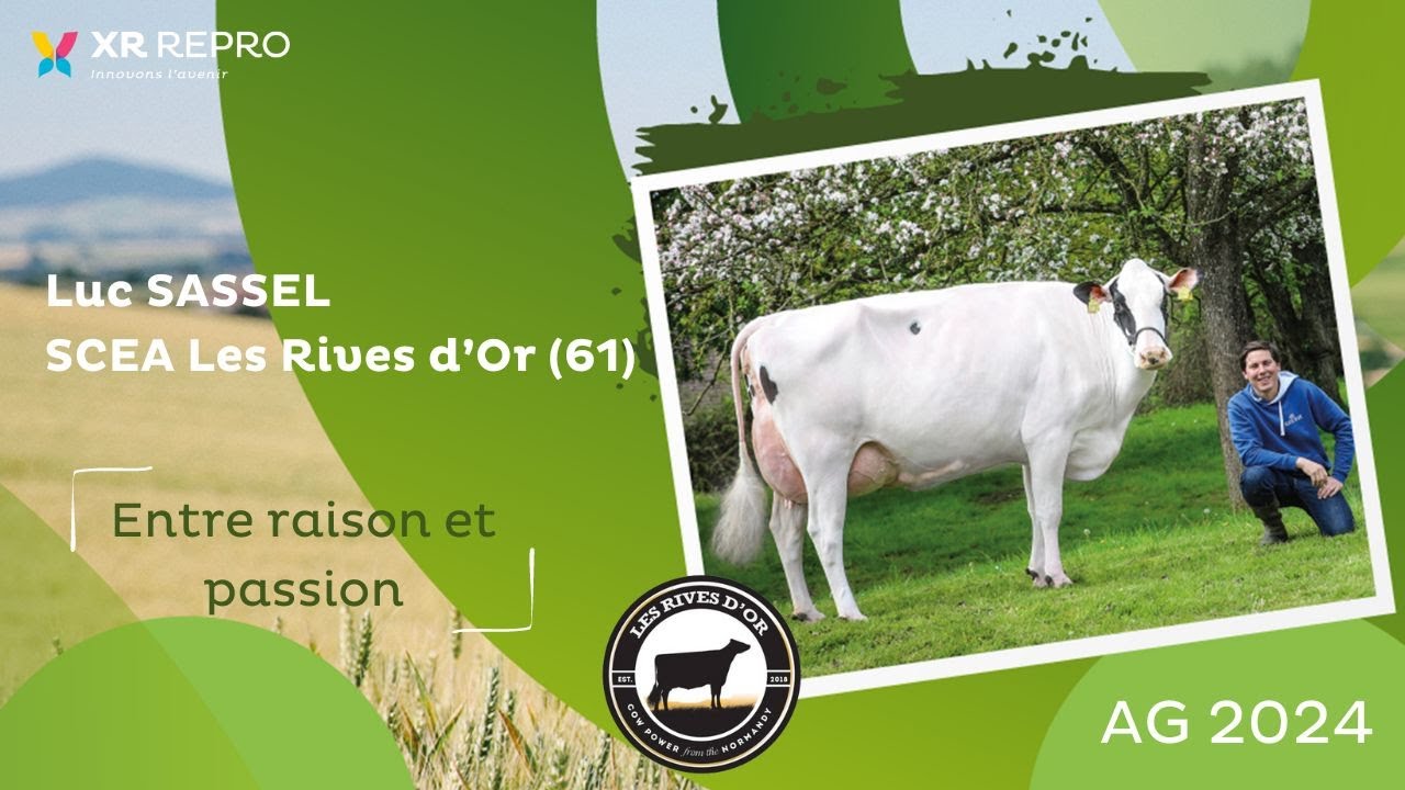 Luc Sassel, &eacute;leveur et entrepreneur d'un troupeau de 350 Holstein dans l'Orne