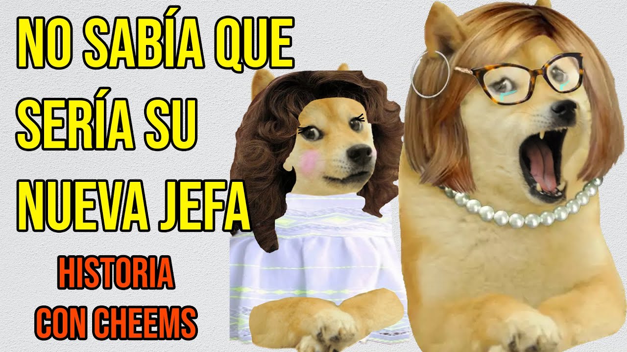 Abro hilo: Perdió su trabajo por ser mala conmigo | Hilos con cheems