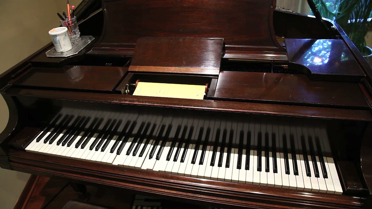Beer Barrel Polka • Liberace (Gary Stucka's Steinway Duo-Art Reproducing Piano)