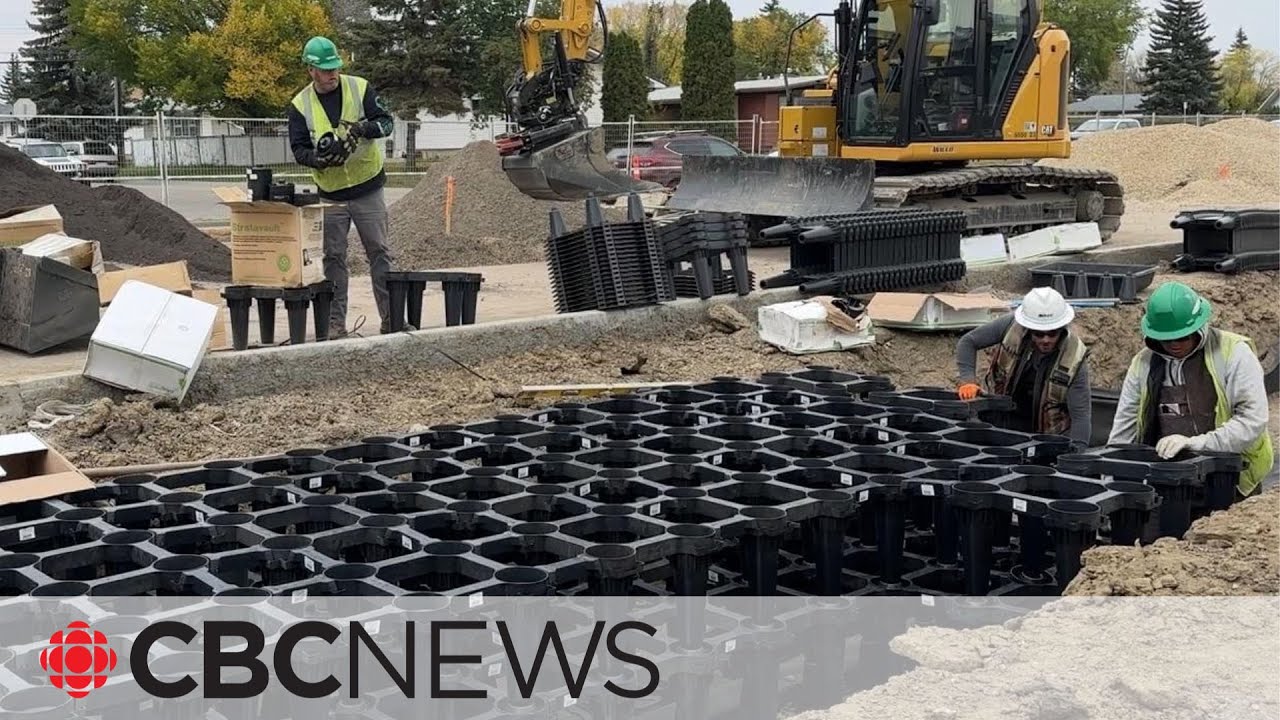 Soil cells support tree growth along Edmonton’s newest LRT route