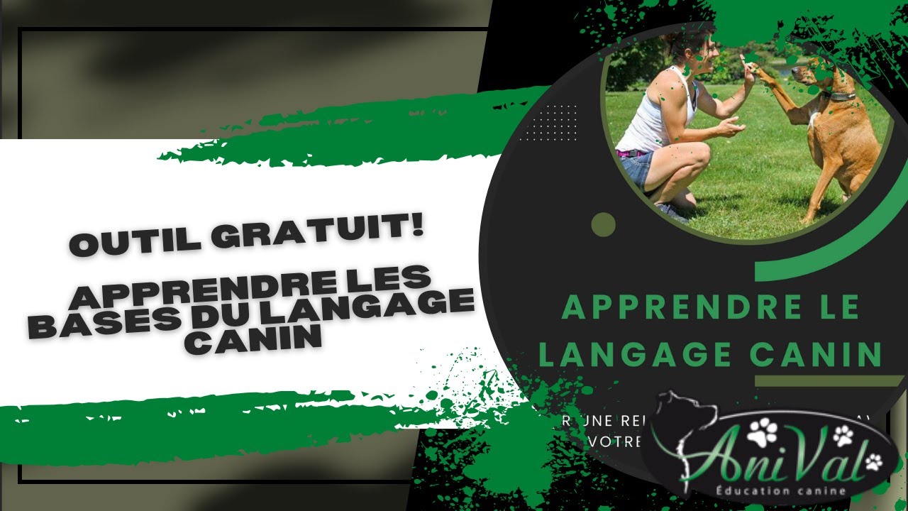 Apprendre les bases du langage canin - Outils gratuit