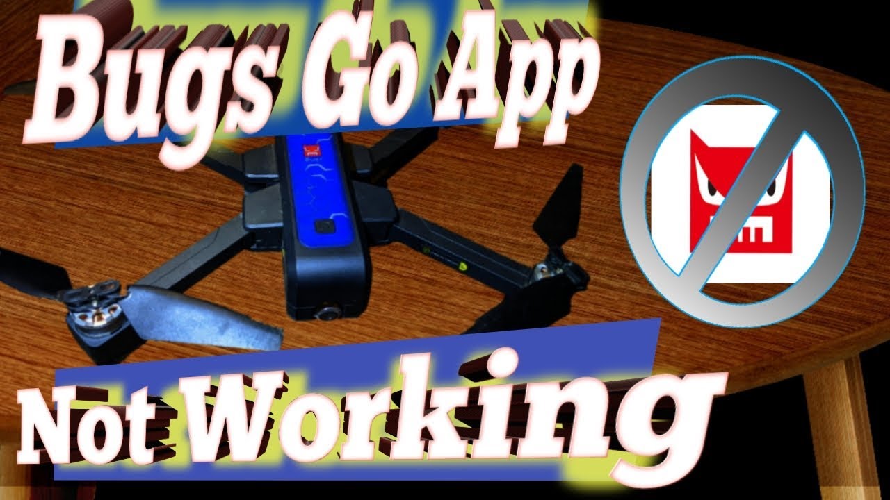 Bugs Go App Not Working