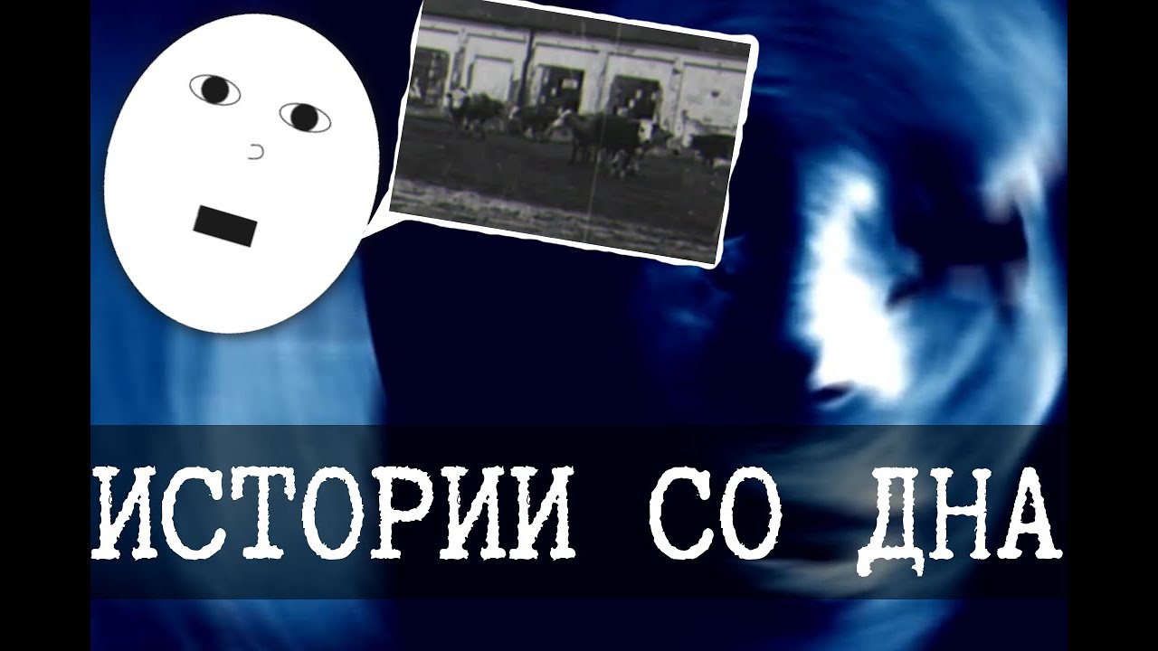 Дно интернета 12 (Безумцы даркнета, Cave Of Shadows, Центросибирские хроники)