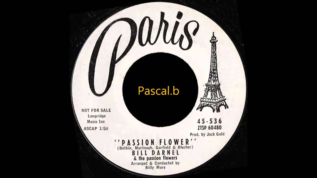 Bill Darnell - Passion flower