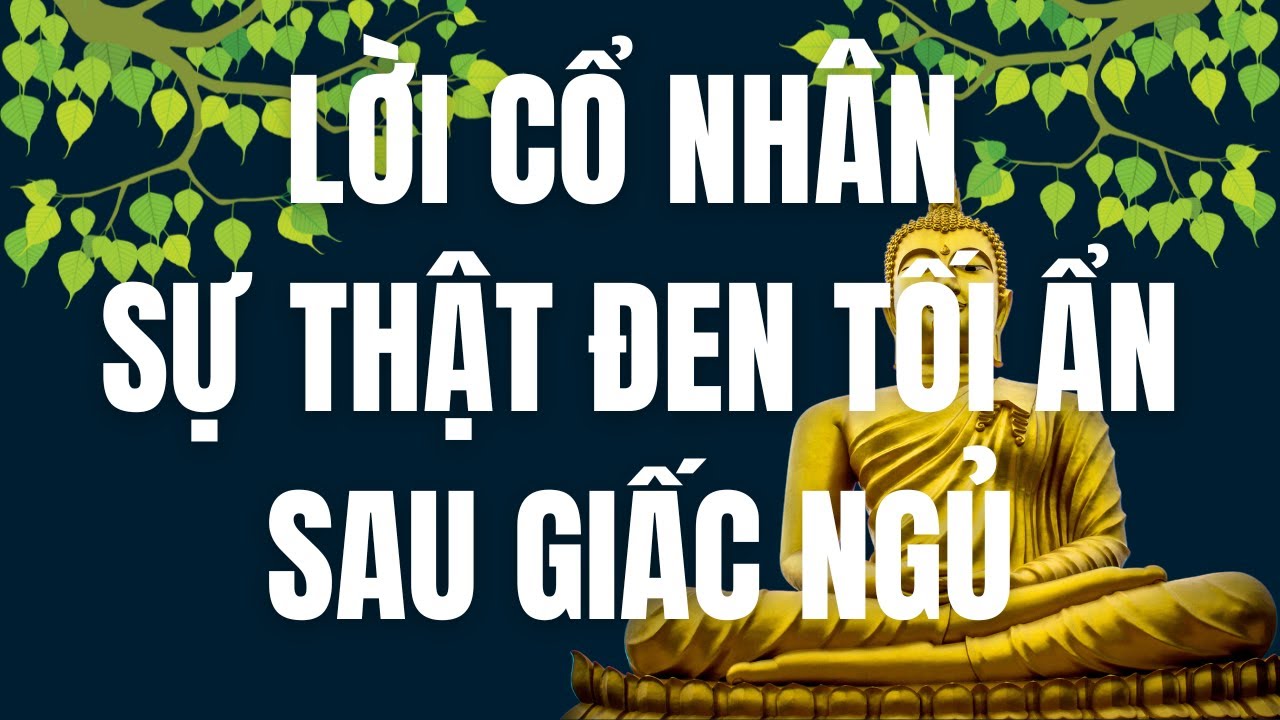 Bí Mật Đằng Sau Giấc Ngủ Không Yên Bình: Nguyên Nhân Quan Trọng Bạn Nên Biết