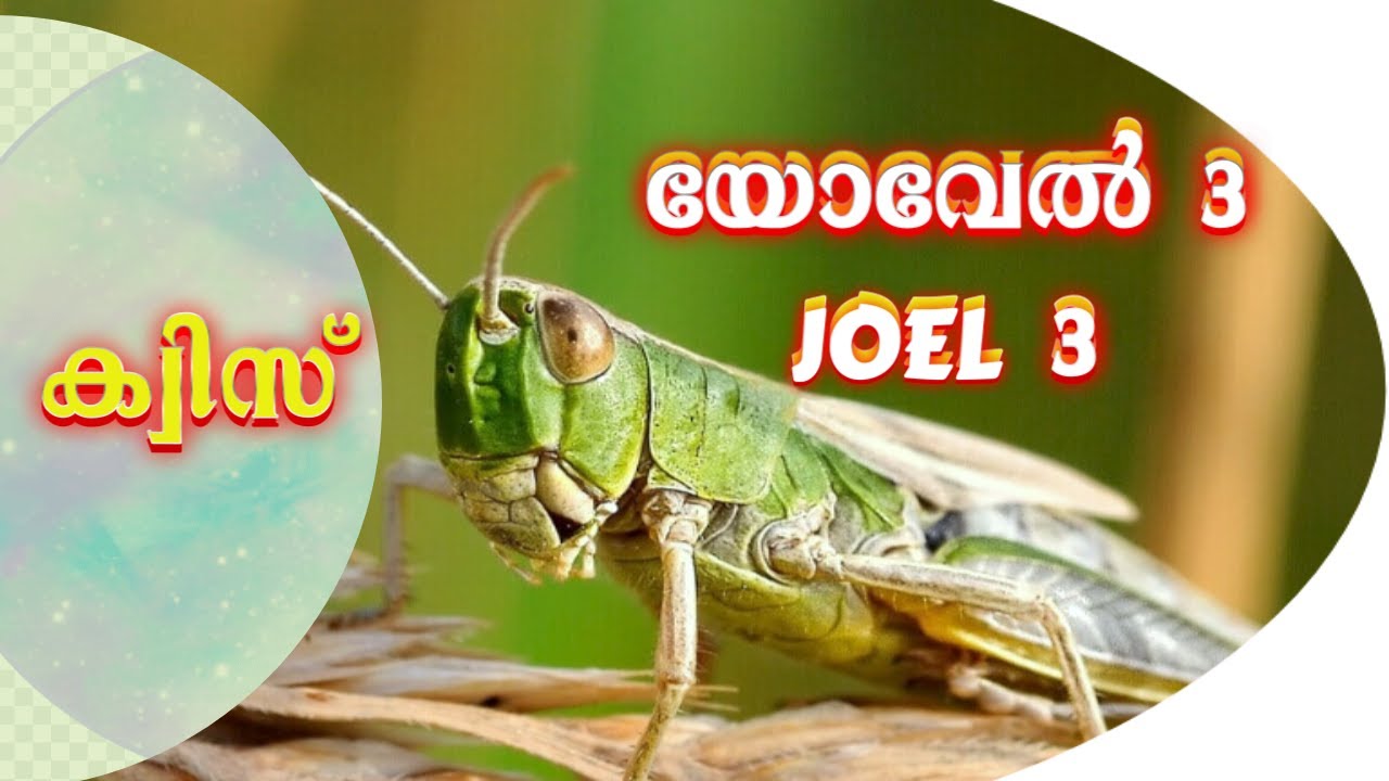 Quiz Joel- 3 ||| ക്വിസ് യോവേൽ- 3