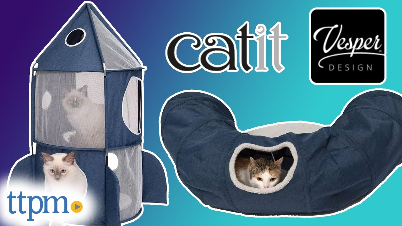 Kitty Reviews the Vesper Rocket and Tunnel from Catit!