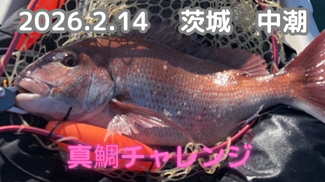 「釣行記」2026年2月14日　中潮　茨城