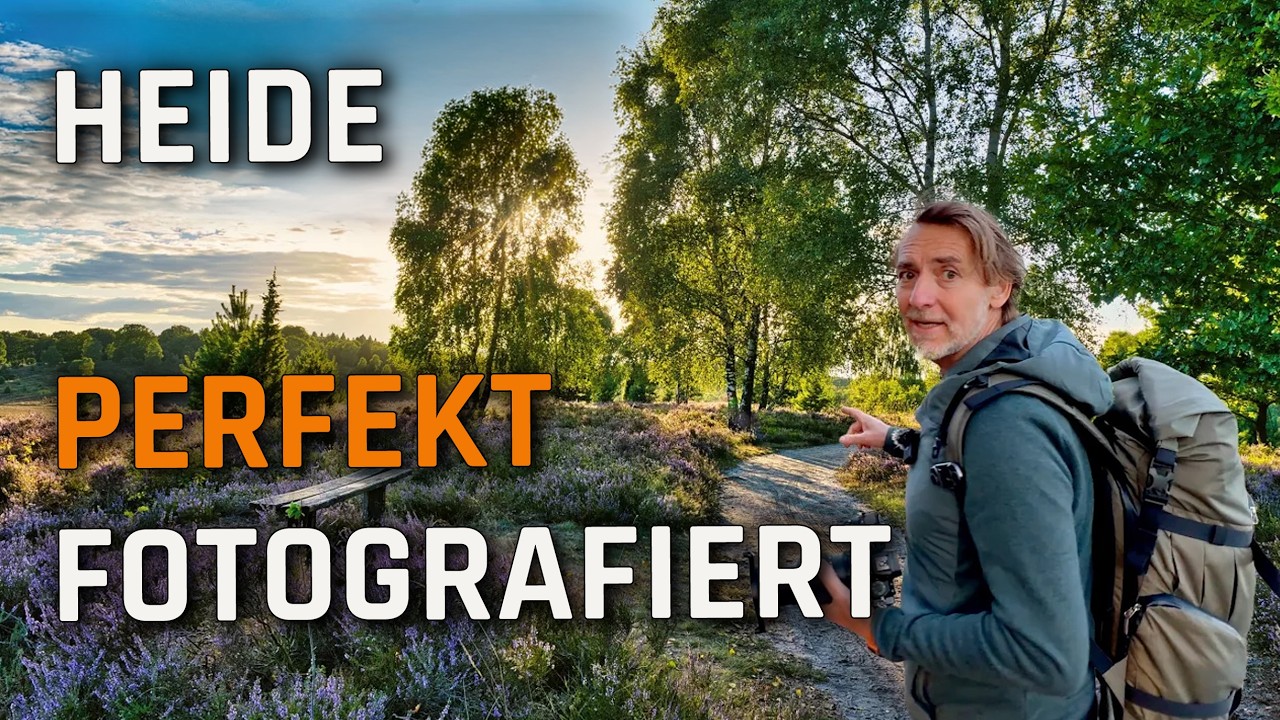 Goldene Stunde in der Heide ✱ Wunderbare Fotomotive
