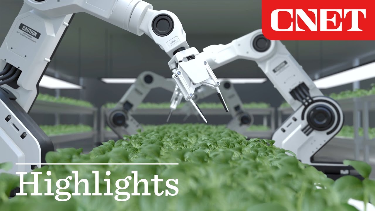 Here&rsquo;s Why You Shouldn't Be Afraid of Robots Taking Your Job