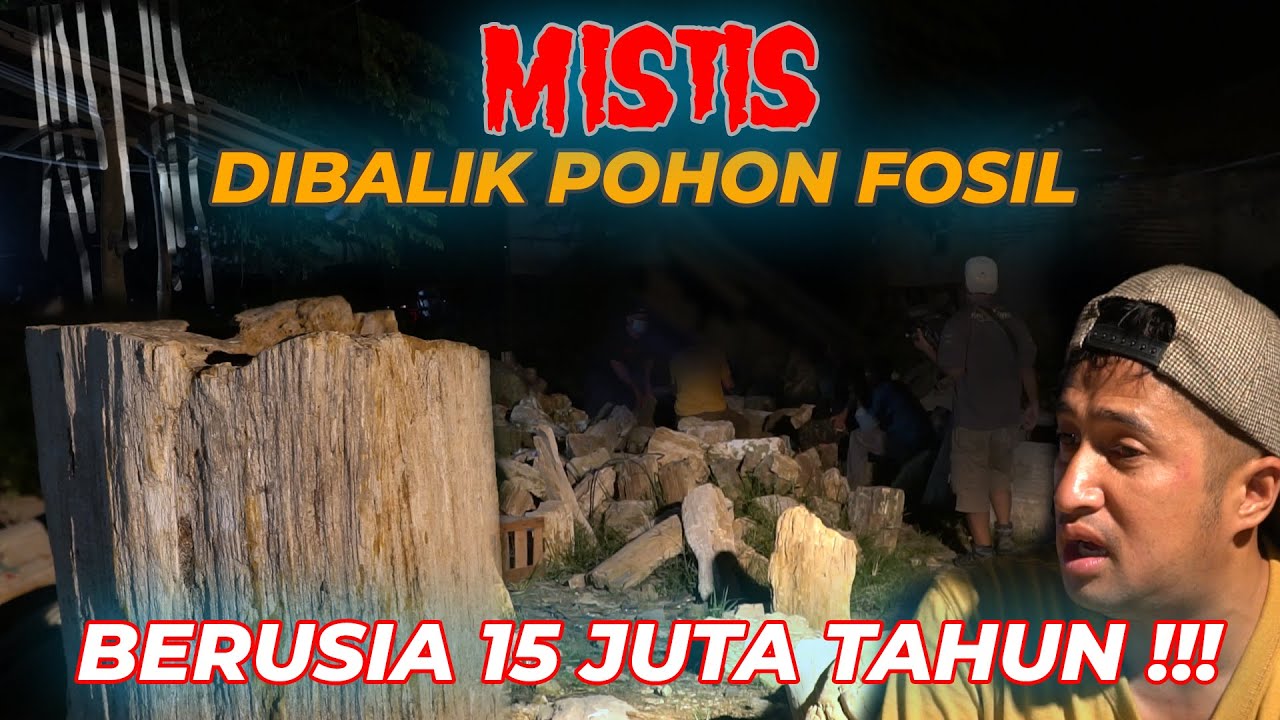 BIKIN MERINDING !!! BENARKAH..??? KISAH DIBALIK PENGRAJIN POHON FOSIL JUTAAN TAHUN
