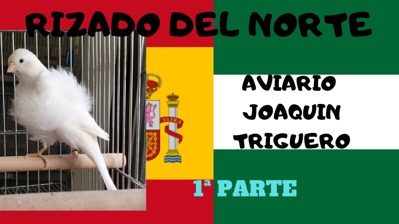 RIZADO DEL NORTE, AVIARIO JOAQUIN TRIGUERO 1ª PARTE