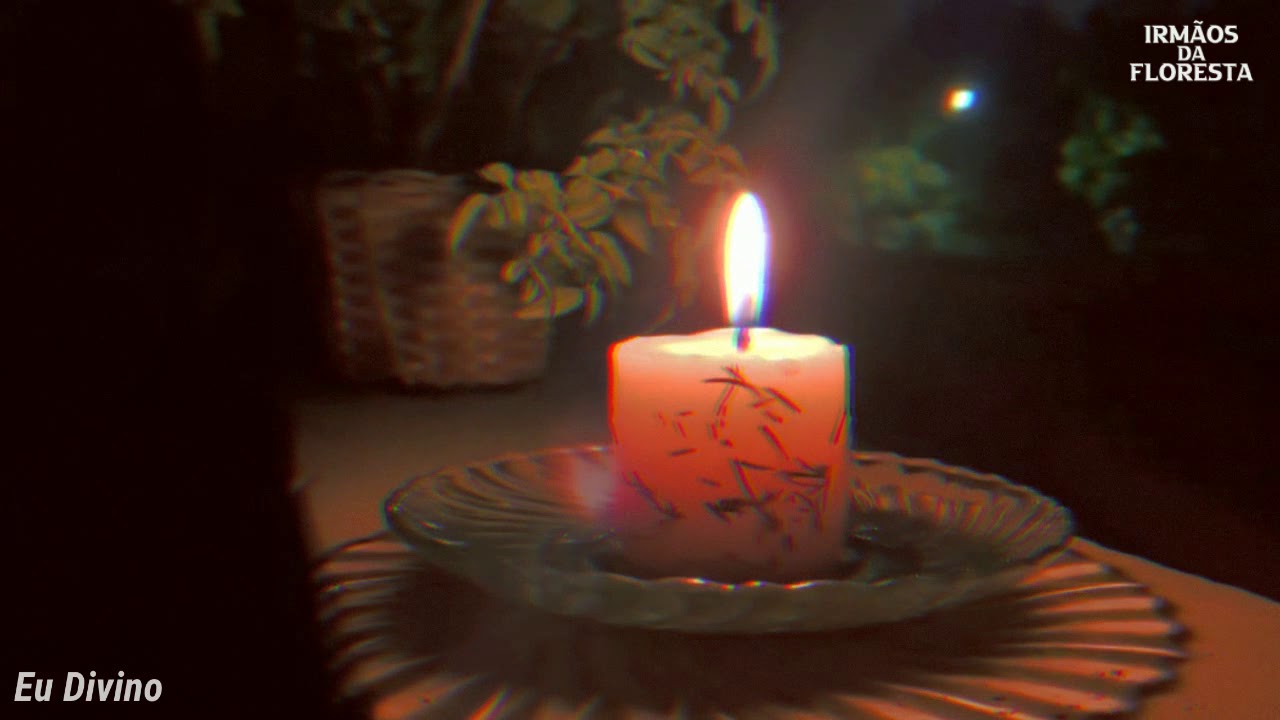 Eu Divino - Irmãos da Floresta