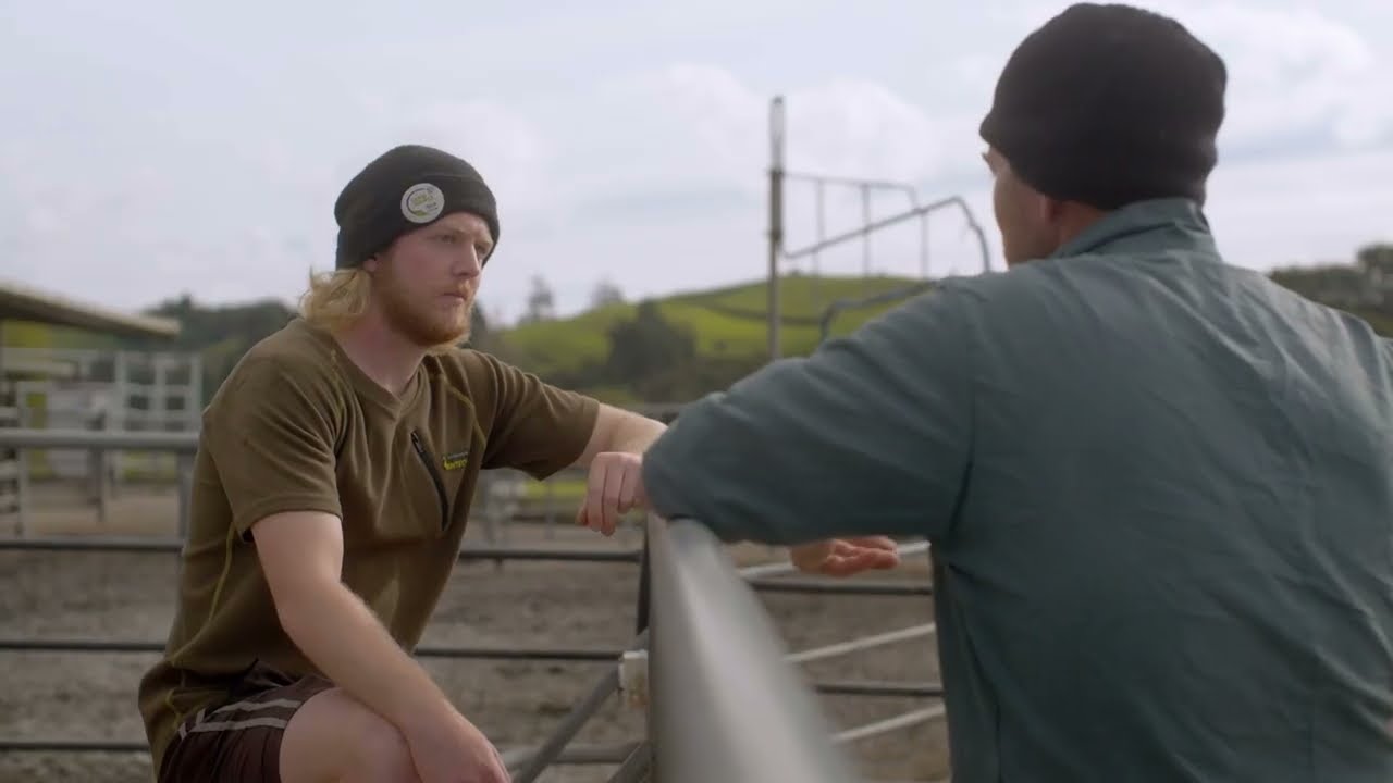 Cow health monitoring with CowTRAQ&trade; Collars | Waikato Milking Systems