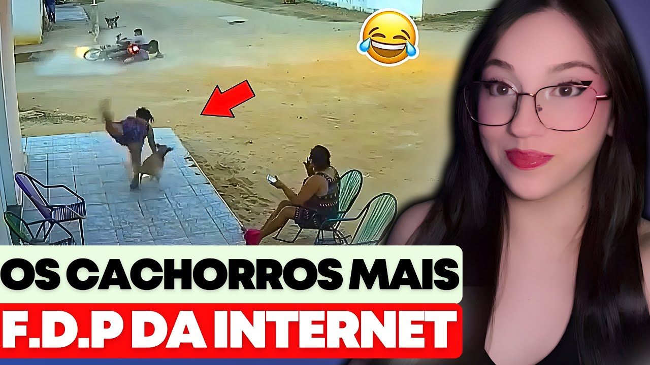 REACT | TOP CACHORROS MAIS ARR0MBADOS DA INTERNET 😂