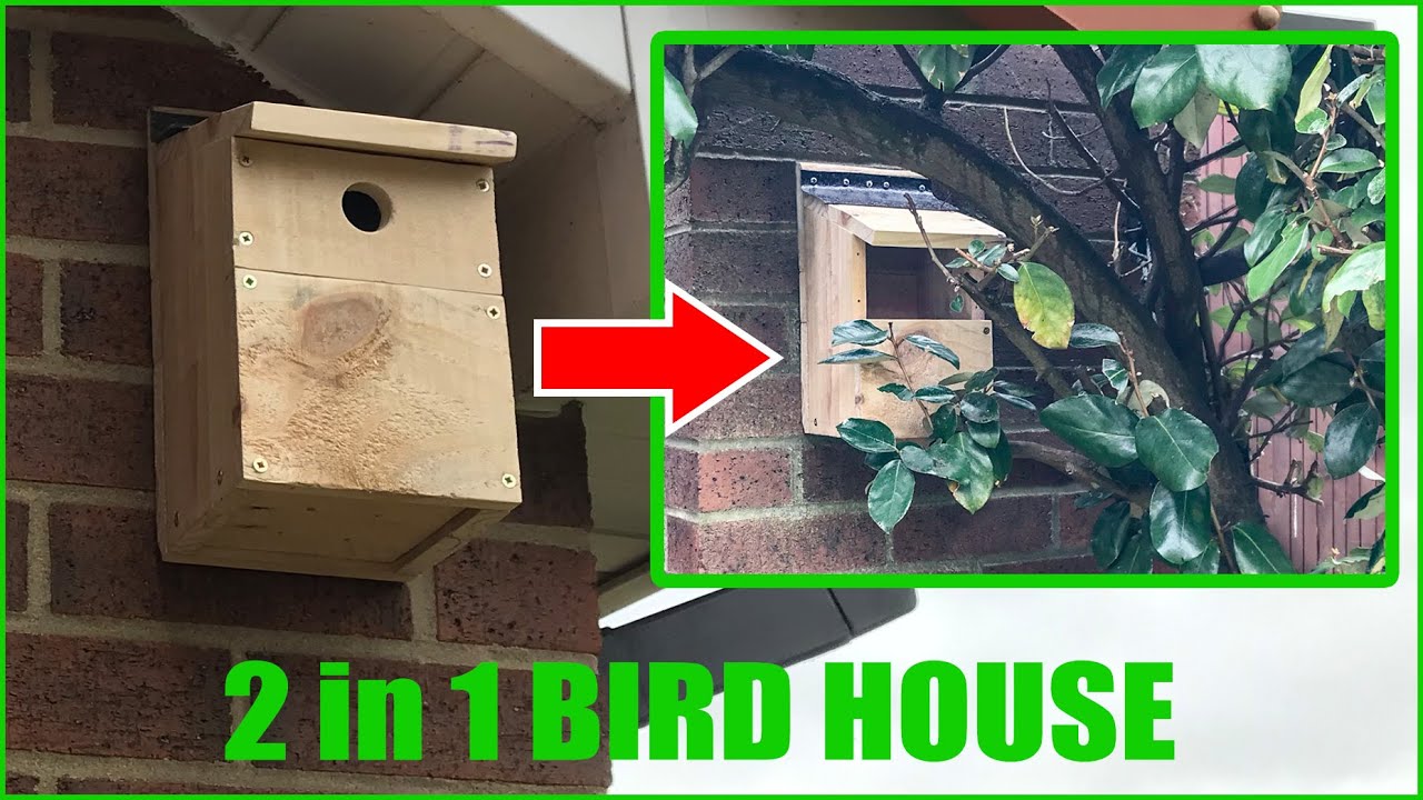 How to make a 2 in 1 BIRD HOUSE, a basic woodworking project. Easy DIY project video.