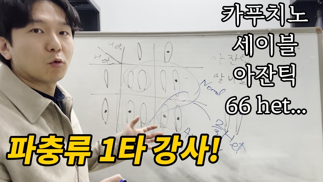 필수! 