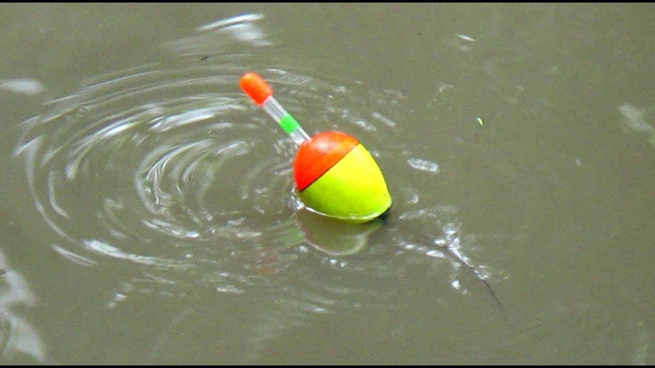 Fishing for big catfish with floats