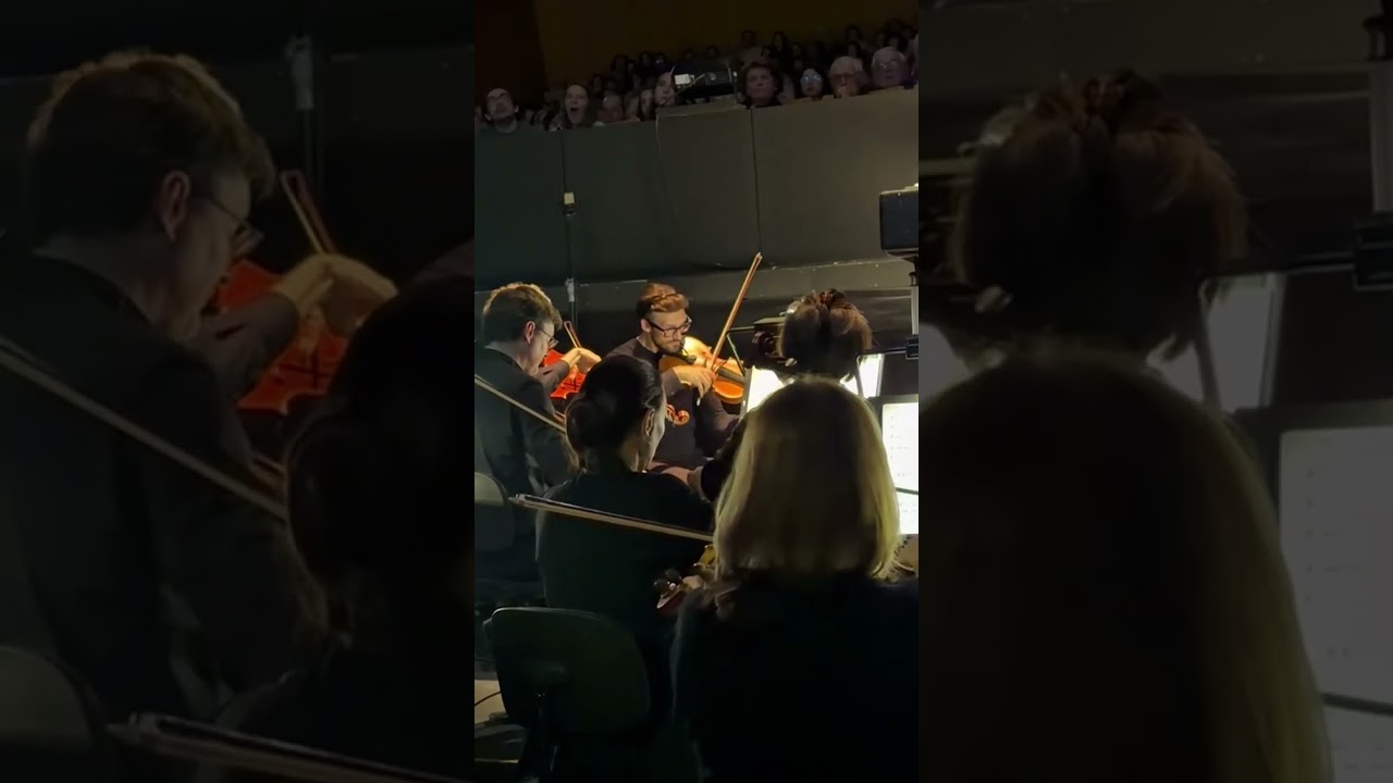 Léo Delibes – Coppélia | Pas de deux – Viola solo (live)