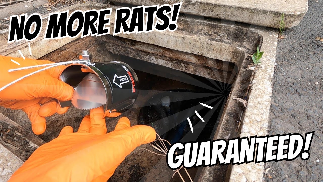 How to Get Rid of Rats in Your Home 🐀 100% Guaranteed with This Drain Guard Trick!