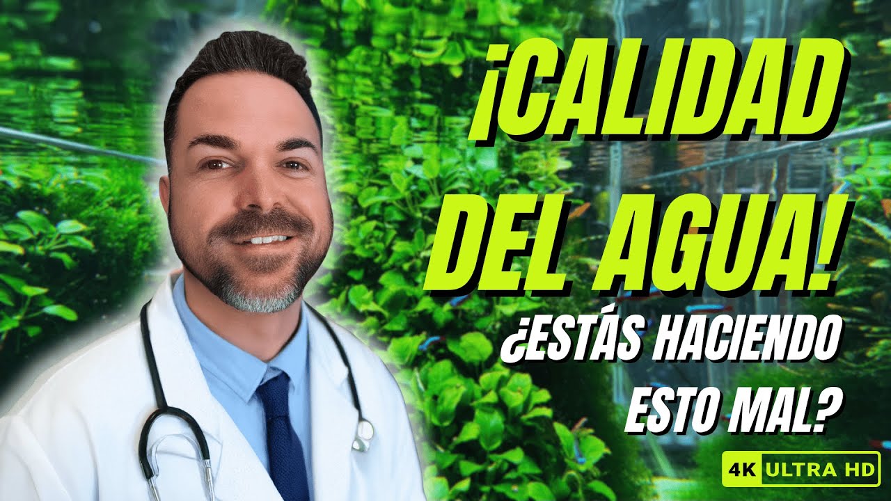 ¡LA VERDAD SOBRE LA CALIDAD DEL AGUA! 🚨 Evita estos errores comunes en tu acuario