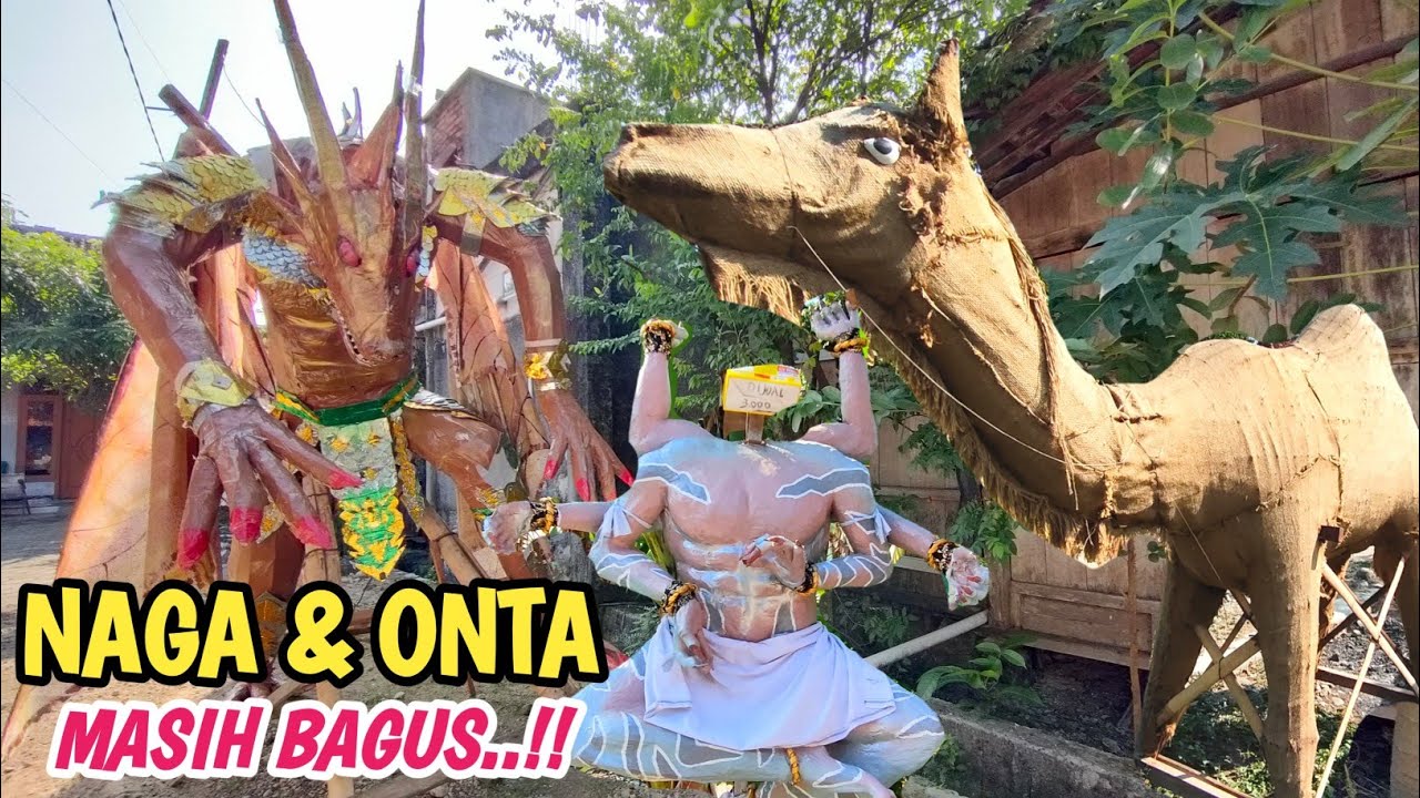 Seperti Inilah Kondisi berbagai Macam Arak-arakan Setelah Buat Takbir Keliling Idul Adha 2024