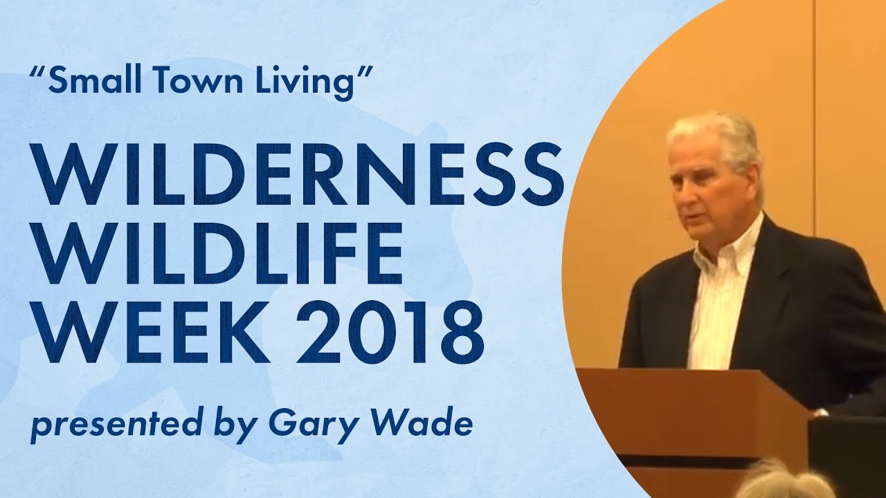 Small Town Living | Wilderness Wildlife Week 2018