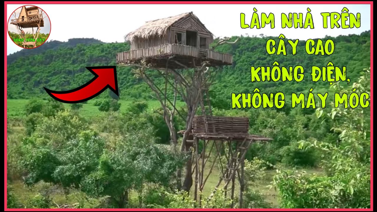 Làm Nhà Trên Cây Cao Giữa Rừng Xanh | Không Điện, Không Máy Móc – Sống Trên Cây