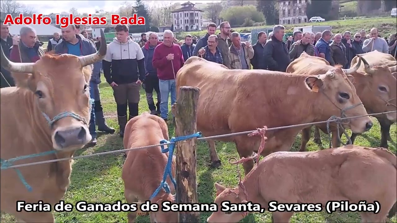 Feria de ganados en Sevares (Piloña)