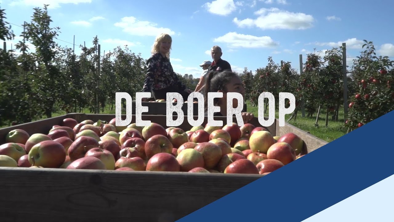 De Boer Op: Appels (Afl. 3)