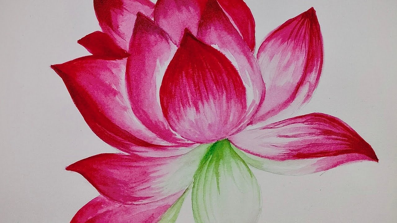 Watercolor drawing flower  