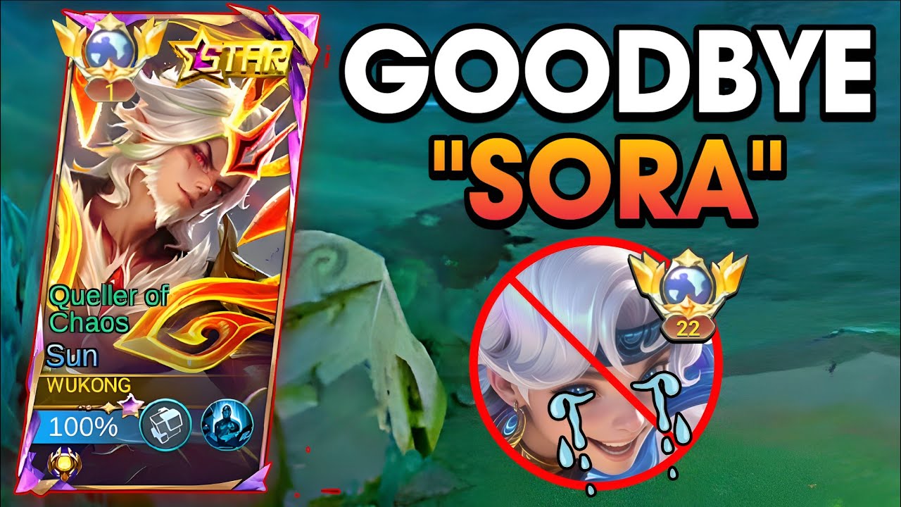 GOODBYE SORA LIFESTEAL!! THIS NEW SUN BUILD AND EMBLEM WILL MAKE HIM META AGAIN IN EXP! 