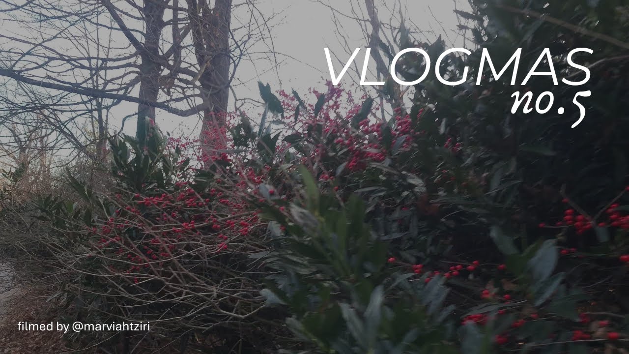 my winter reading & a cozy few days in my life | vlogmas day 5