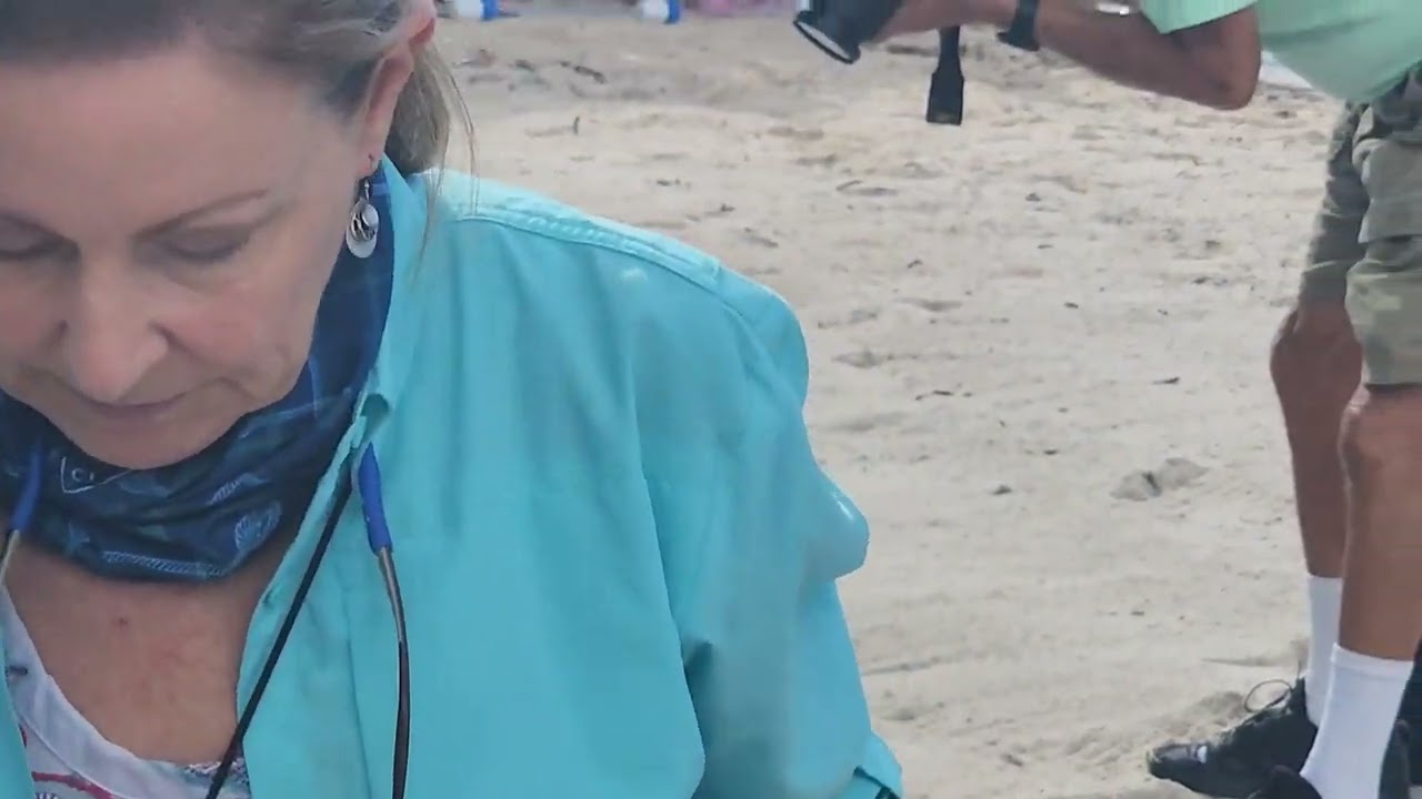 Sea Turtle released in the Florida Keys after surgery and recovery at the Turtle Hospital