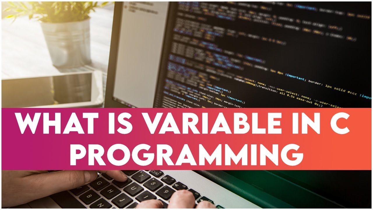 What Is Variable In C Programming