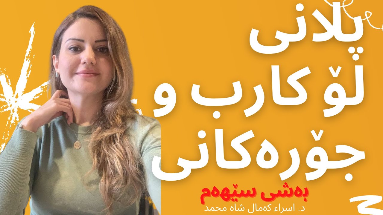 بەشی سێهەم// پلانی لۆ کارب چی یە و جۆرەکانی چین و نموونەی ژەمەکان