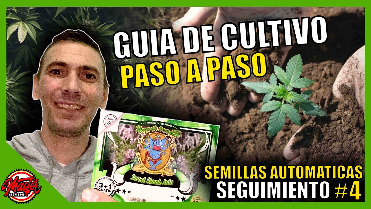🌱#4- GU&Iacute;A DE CULTIVO | SEMILLAS AUTOFLORECIENTES