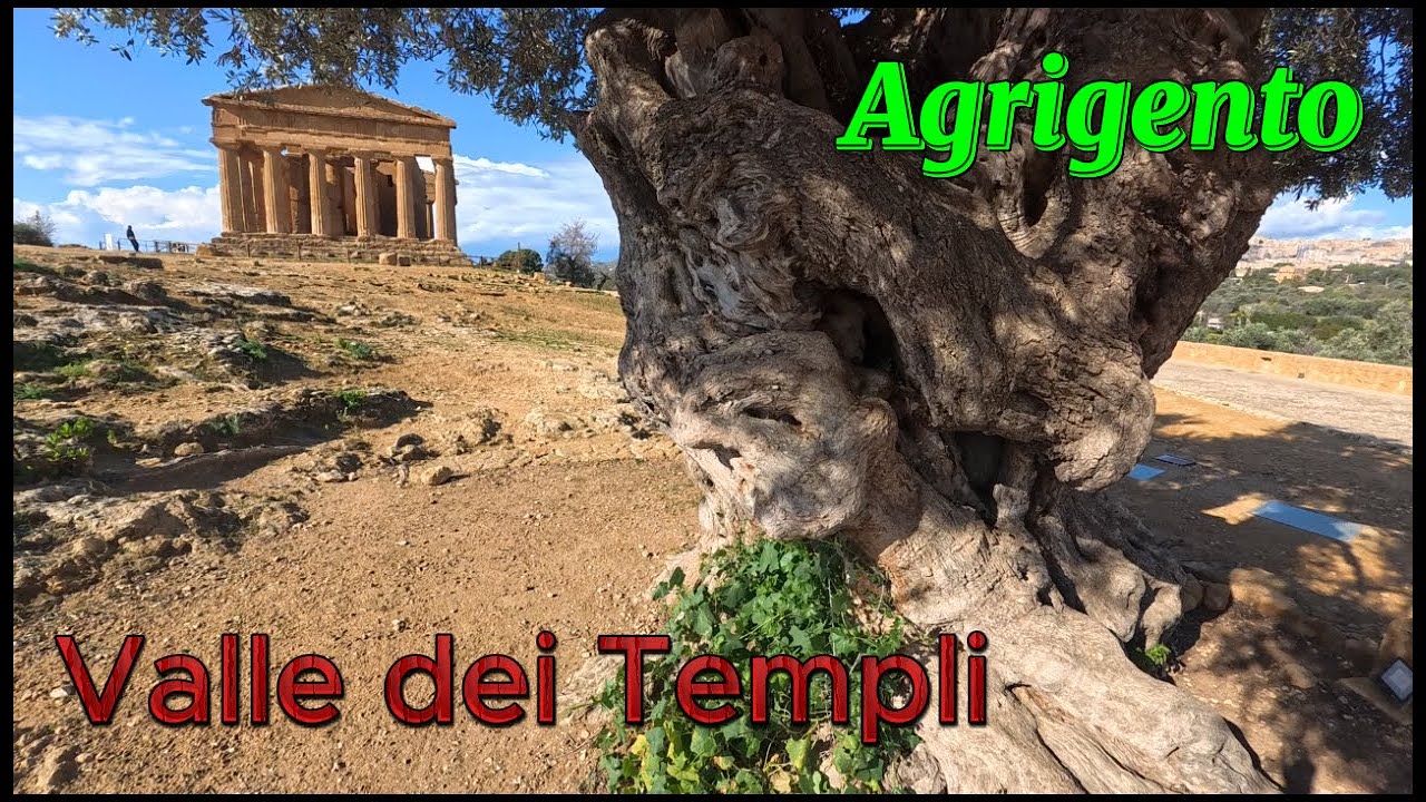 Sicilia Immersi nella nebbia Valle dei Templi