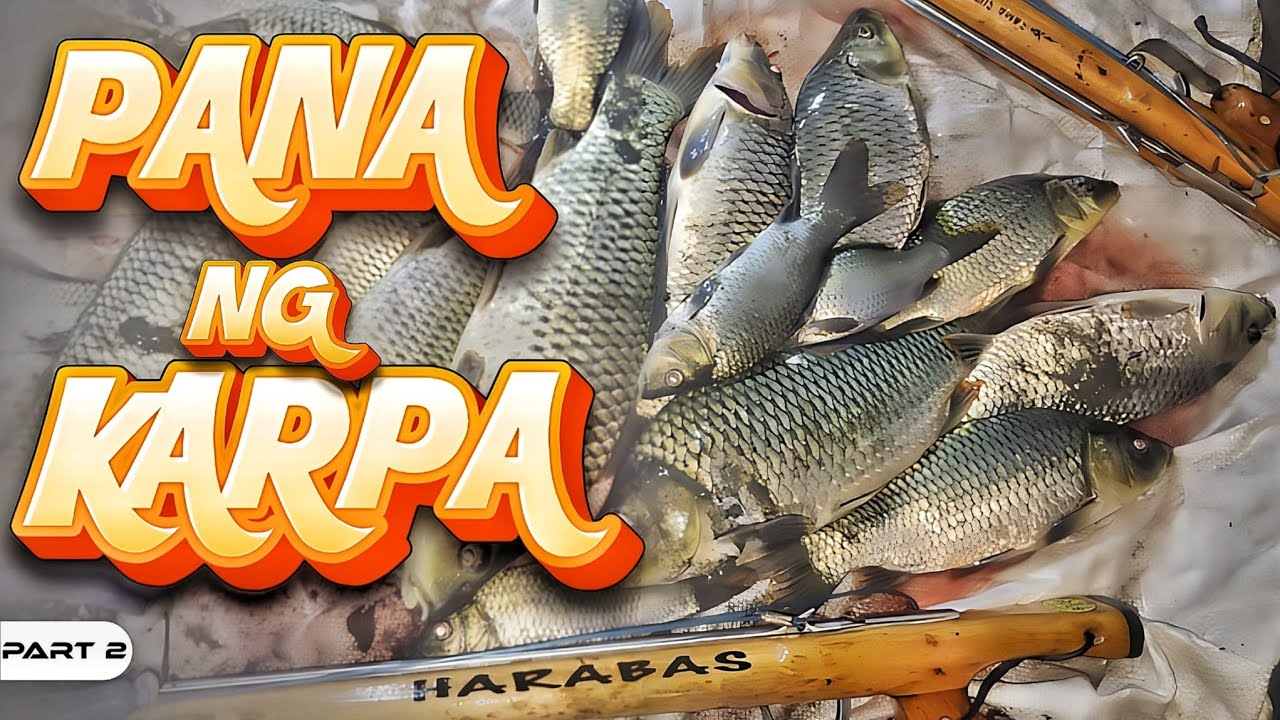 P2 - Pamamana ng Karpa sa Masukal na Sapa - EP1955