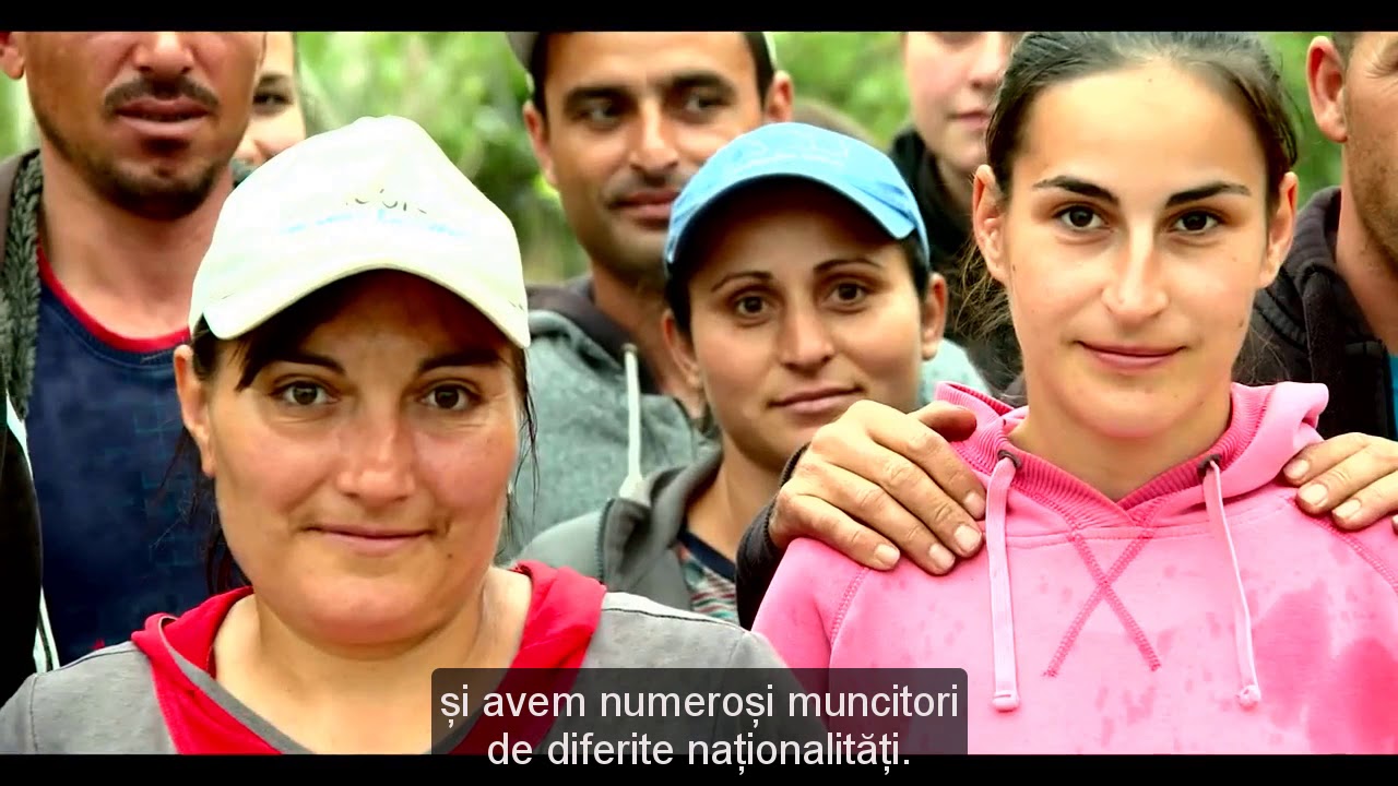 The Summer Berry Company - Join us (Romanian)