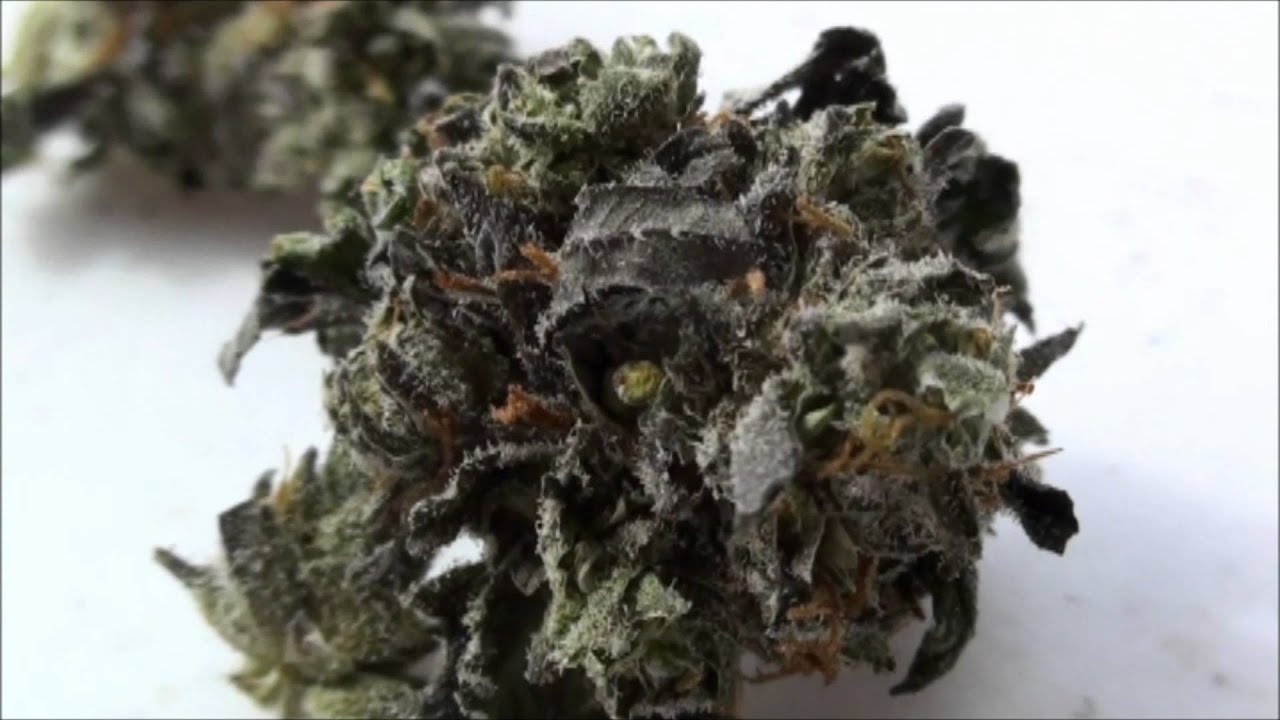 Purple OG Kush - Weed Review