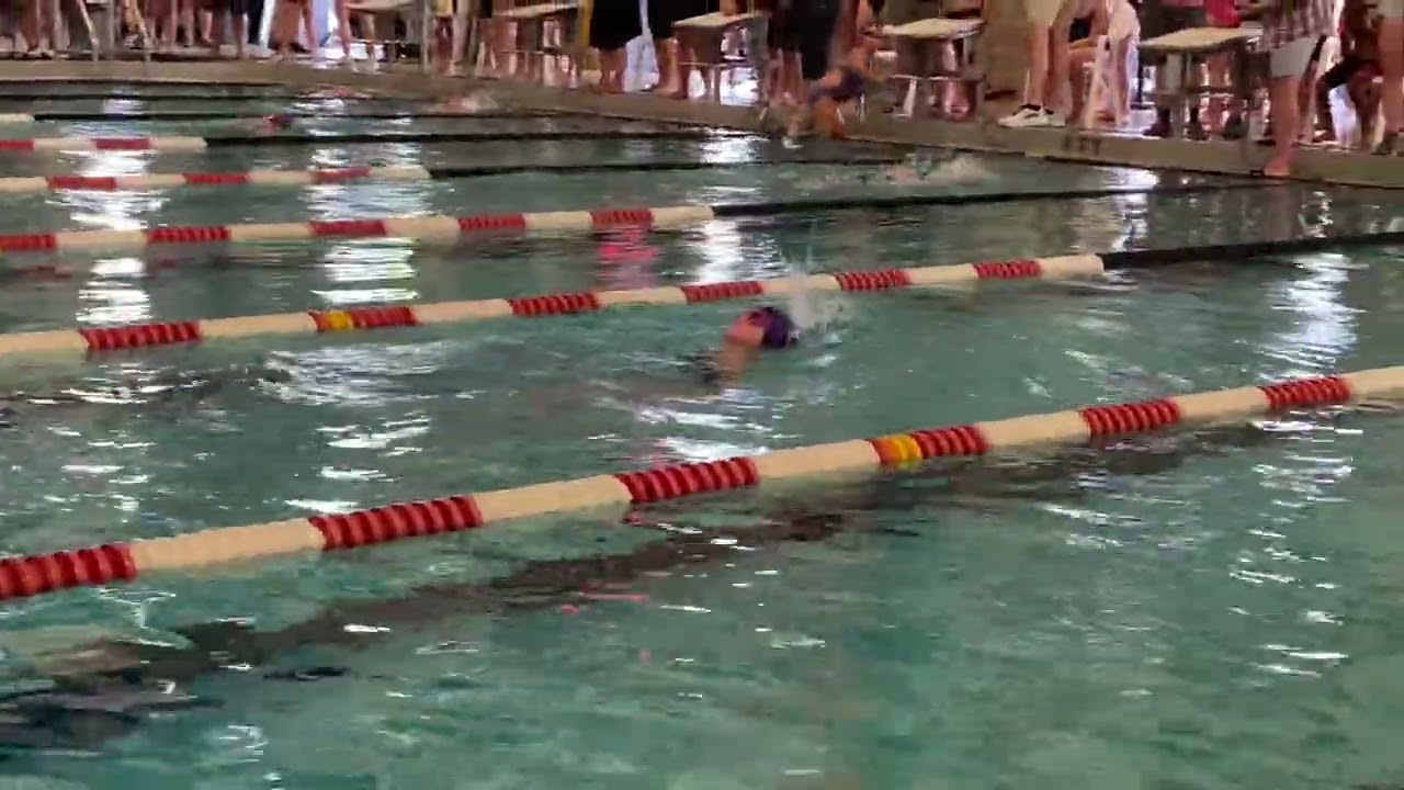 Tiger Sharks Swim 2023