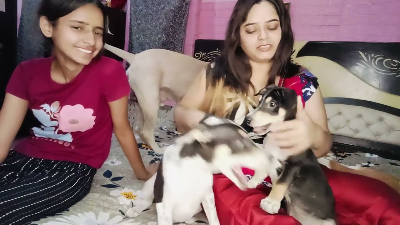 Jo bola tha kal 🥴 vo aaj bhi nhi ho paya 🥶 sorry video ko pura dekhna 🏡💄❤️🔥 