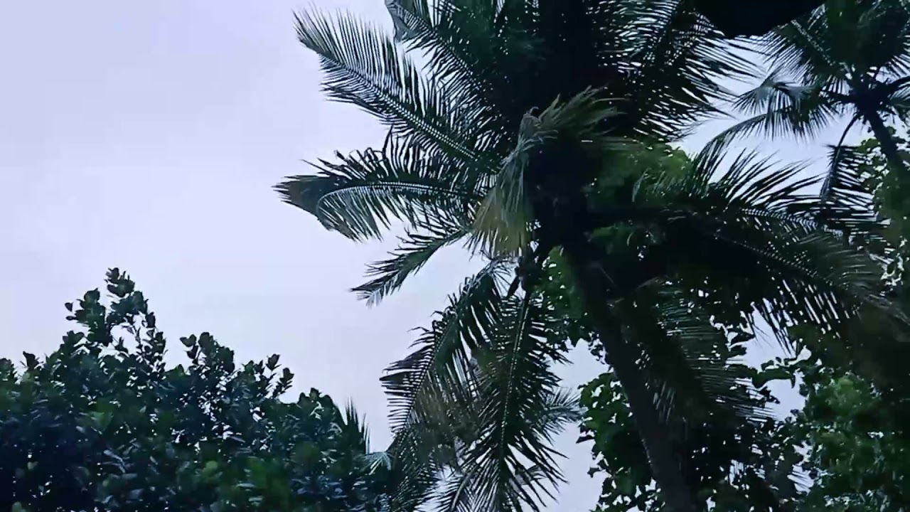 Karkkidaka Mazha/Karkkidaka rain in Kerala/India
