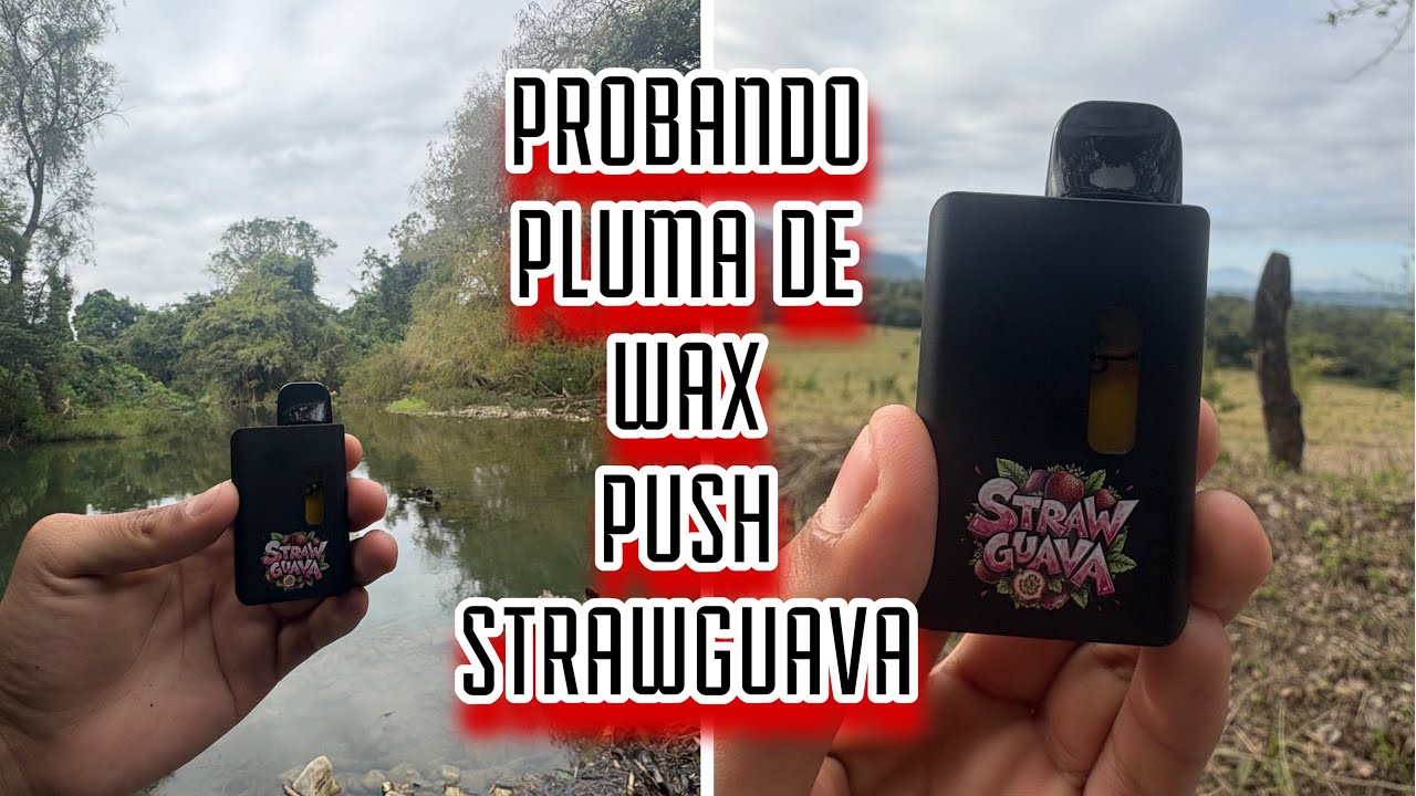 PROBANDO PLUMA DE WAX PUHS 2gr DE STRAWGUAVA , PUHS STRAWGUAVA 2gr , NEW GEN PUHS 
