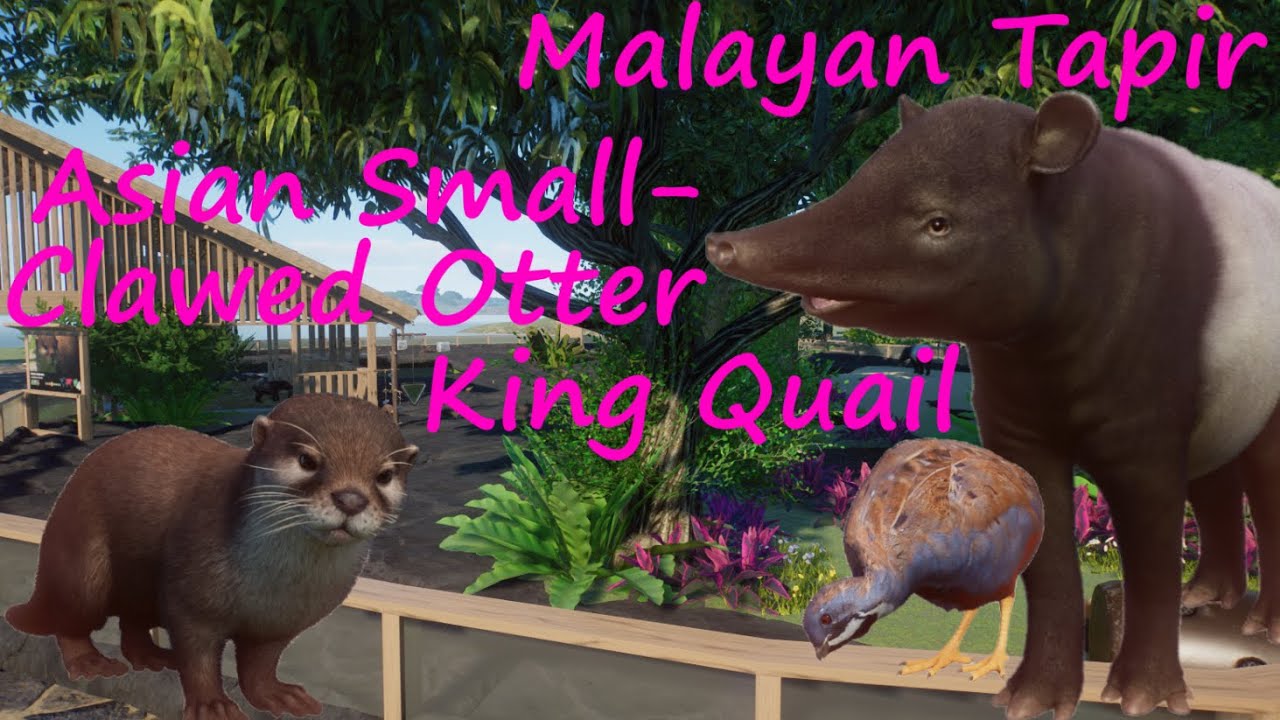 Asian Blue Quail, Asian Small-Clawed Otter and Malayan Tapir - King Island Zoo