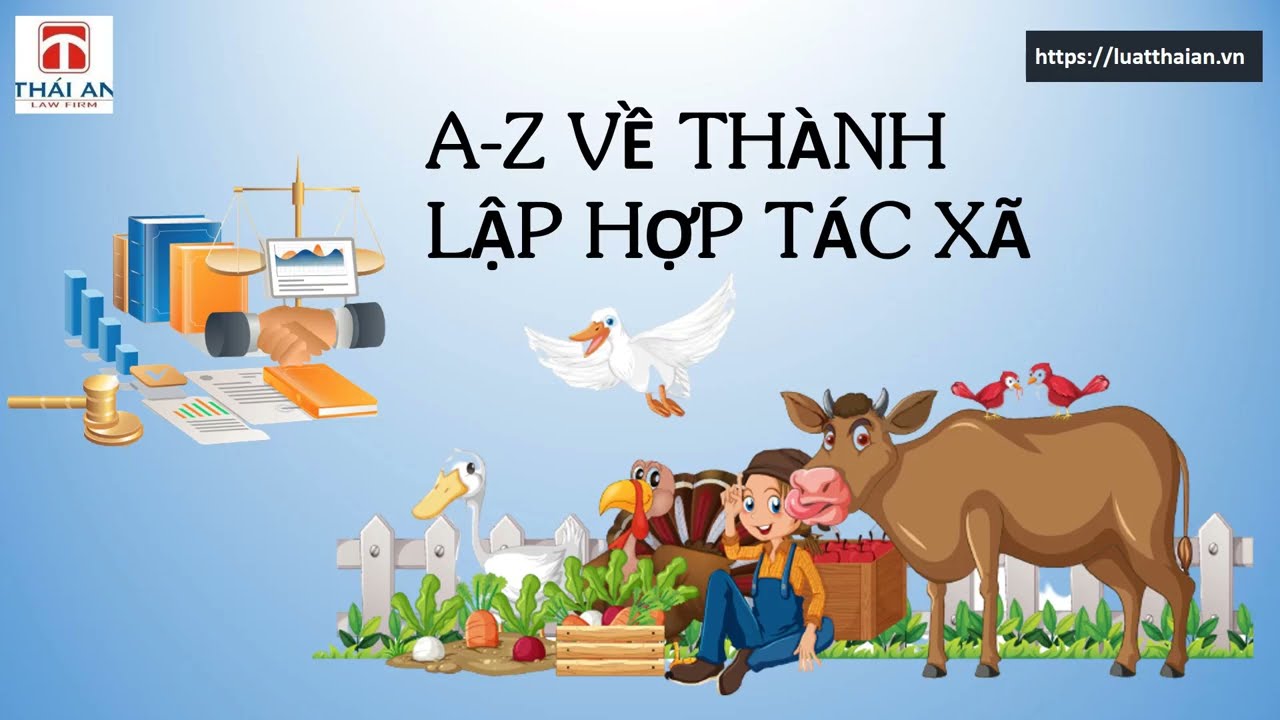 Thủ tục thành lập hợp tác xã là gì? Làm sao để thành lập HTX dễ dàng nhất!
