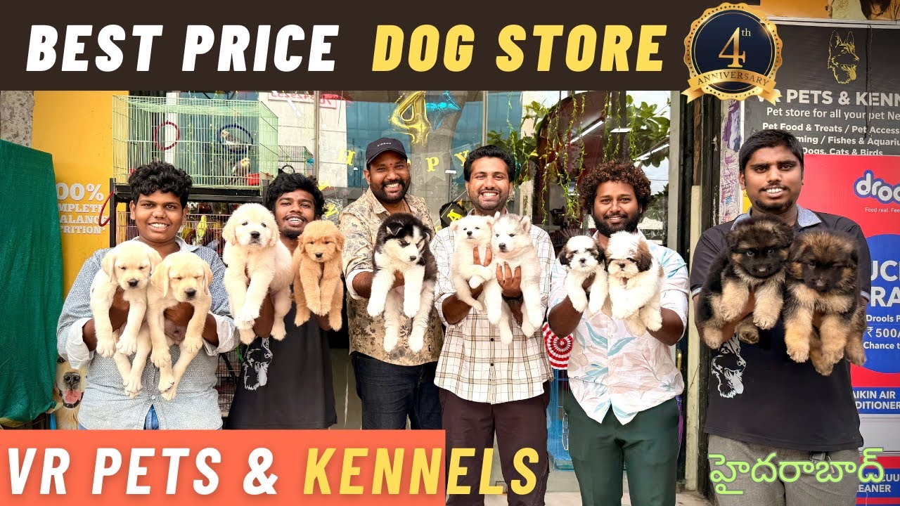VR PETS & KENNELS 4TH ANNIVERSARY | BEST PRICE DOG SHOP TELUGU