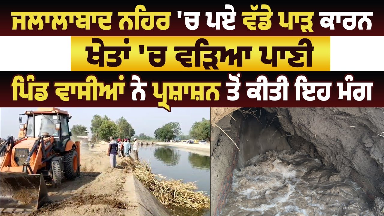 ਜਲਾਲਾਬਾਦ ਨਹਿਰ 'ਚ ਪਏ ਵੱਡੇ ਪਾੜ ਕਾਰਨ ਖੇਤਾਂ 'ਚ ਵੜਿਆ ਪਾਣੀ,ਪਿੰਡ ਵਾਸੀਆਂ ਨੇ ਪ੍ਰਸ਼ਾਸ਼ਨ ਤੋਂ ਕੀਤੀ ਇਹ ਮੰਗ